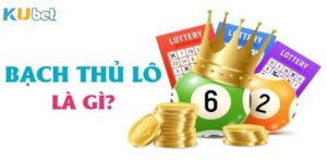 Bạch thủ lô